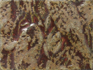 4924_14.jpg