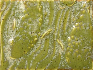 4924_34.jpg